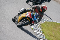 enduro-digital-images;event-digital-images;eventdigitalimages;lydden-hill;lydden-no-limits-trackday;lydden-photographs;lydden-trackday-photographs;no-limits-trackdays;peter-wileman-photography;racing-digital-images;trackday-digital-images;trackday-photos